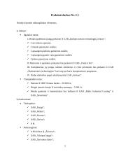 Rinkodaros tyrimas:  šarvuotų durų, garažo vartų pardavimas UAB "Saugus namas" 4 puslapis