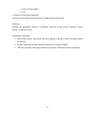 Rinkodaros tyrimas:  šarvuotų durų, garažo vartų pardavimas UAB "Saugus namas" 5 puslapis