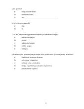 Rinkodaros tyrimas:  šarvuotų durų, garažo vartų pardavimas UAB "Saugus namas" 8 puslapis