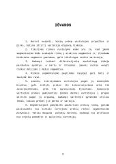 Rinkos mechanizmas 11 puslapis