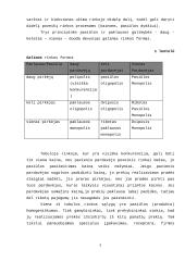 Rinkos mechanizmas 4 puslapis