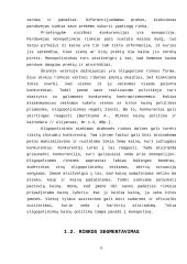 Rinkos mechanizmas 5 puslapis