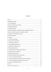 Rinkos monopolizavimo teorinės problemos 2 puslapis