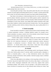 Rinkos monopolizavimo teorinės problemos 12 puslapis