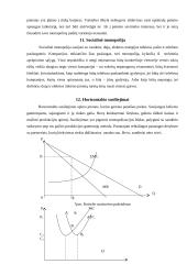 Rinkos monopolizavimo teorinės problemos 13 puslapis