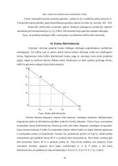 Rinkos monopolizavimo teorinės problemos 16 puslapis
