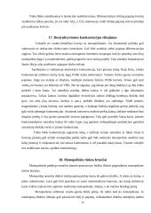 Rinkos monopolizavimo teorinės problemos 17 puslapis