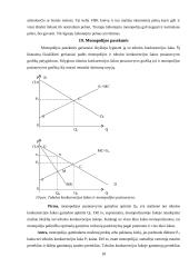 Rinkos monopolizavimo teorinės problemos 18 puslapis