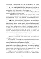 Rinkos monopolizavimo teorinės problemos 19 puslapis