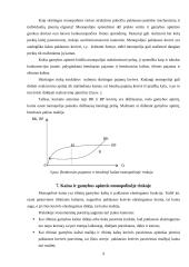 Rinkos monopolizavimo teorinės problemos 9 puslapis