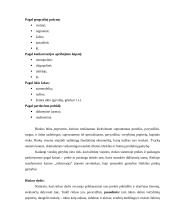 Rinkos samprata ir jos atsiradimo prielaidos 5 puslapis