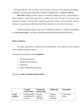 Rinkos samprata ir jos atsiradimo prielaidos 6 puslapis