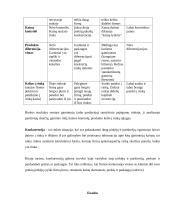 Rinkos samprata ir jos atsiradimo prielaidos 7 puslapis