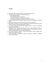 Rinkos tipai: monopolinė rinka Lietuvoje 11 puslapis