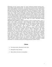 Rinkos tipai: monopolinė rinka Lietuvoje 3 puslapis