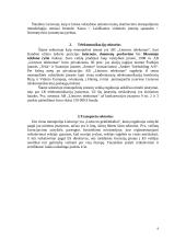 Rinkos tipai: monopolinė rinka Lietuvoje 8 puslapis