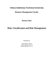 Risk, Classification and Risk Management