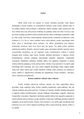 Rytinės mankštos poveikis vaiko dienos darbingumui 3 puslapis