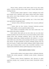 Rytinės mankštos poveikis vaiko dienos darbingumui 4 puslapis