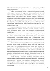 Rytinės mankštos poveikis vaiko dienos darbingumui 7 puslapis