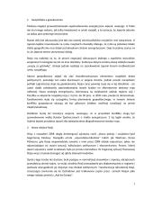 Rywalizacja gospodarcza między Rosją a Japonią 7 puslapis
