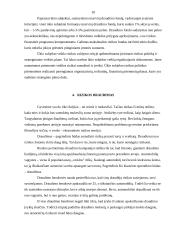 Rizika versle 11 puslapis