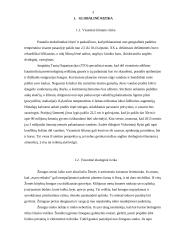 Rizika versle 4 puslapis