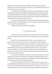 Rizika versle 5 puslapis