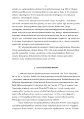 Rizika versle 7 puslapis