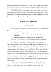 Rizika versle 8 puslapis