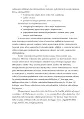 Rizika versle 9 puslapis