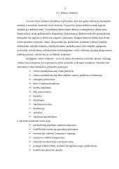 Rizika versle 10 puslapis