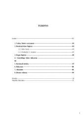 Rizikos faktoriai ir jų vertinimo rodikliai 2 puslapis