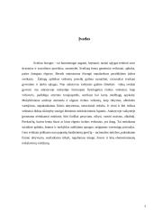 Rizikos faktoriai ir jų vertinimo rodikliai 3 puslapis