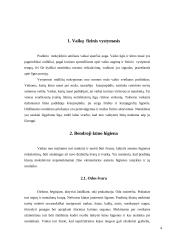 Rizikos faktoriai ir jų vertinimo rodikliai 4 puslapis