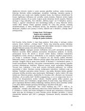 Romantizmas Europoje bei Lietuvoje 20 puslapis