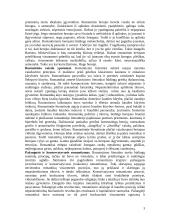 Romantizmas Europoje bei Lietuvoje 3 puslapis