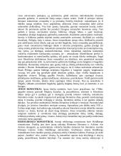 Romantizmas Europoje bei Lietuvoje 5 puslapis