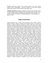 Romantizmas Europoje bei Lietuvoje 6 puslapis