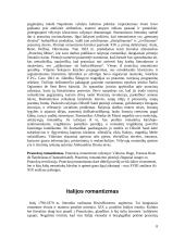 Romantizmas Europoje bei Lietuvoje 8 puslapis