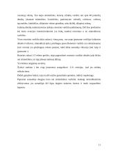 Rotorinis vidaus degimo variklis 11 puslapis