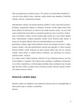 Rotorinis vidaus degimo variklis 4 puslapis