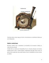 Rotorinis vidaus degimo variklis 9 puslapis