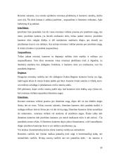 Rotorinis vidaus degimo variklis 10 puslapis