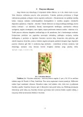 Rūkymo poveikis bei žala sveikatai 3 puslapis