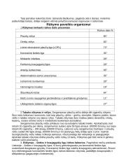 Rūkymas ir jo žala 3 puslapis