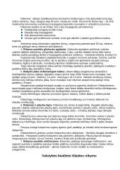 Rūkymas ir jo žala 4 puslapis