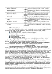 Rūkymas ir jo žala 7 puslapis