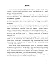 Rūkymo ir visuomenės sąsaja 16 puslapis