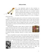 Rūkymo ir visuomenės sąsaja 4 puslapis